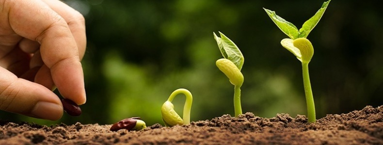 You are currently viewing THRIVE